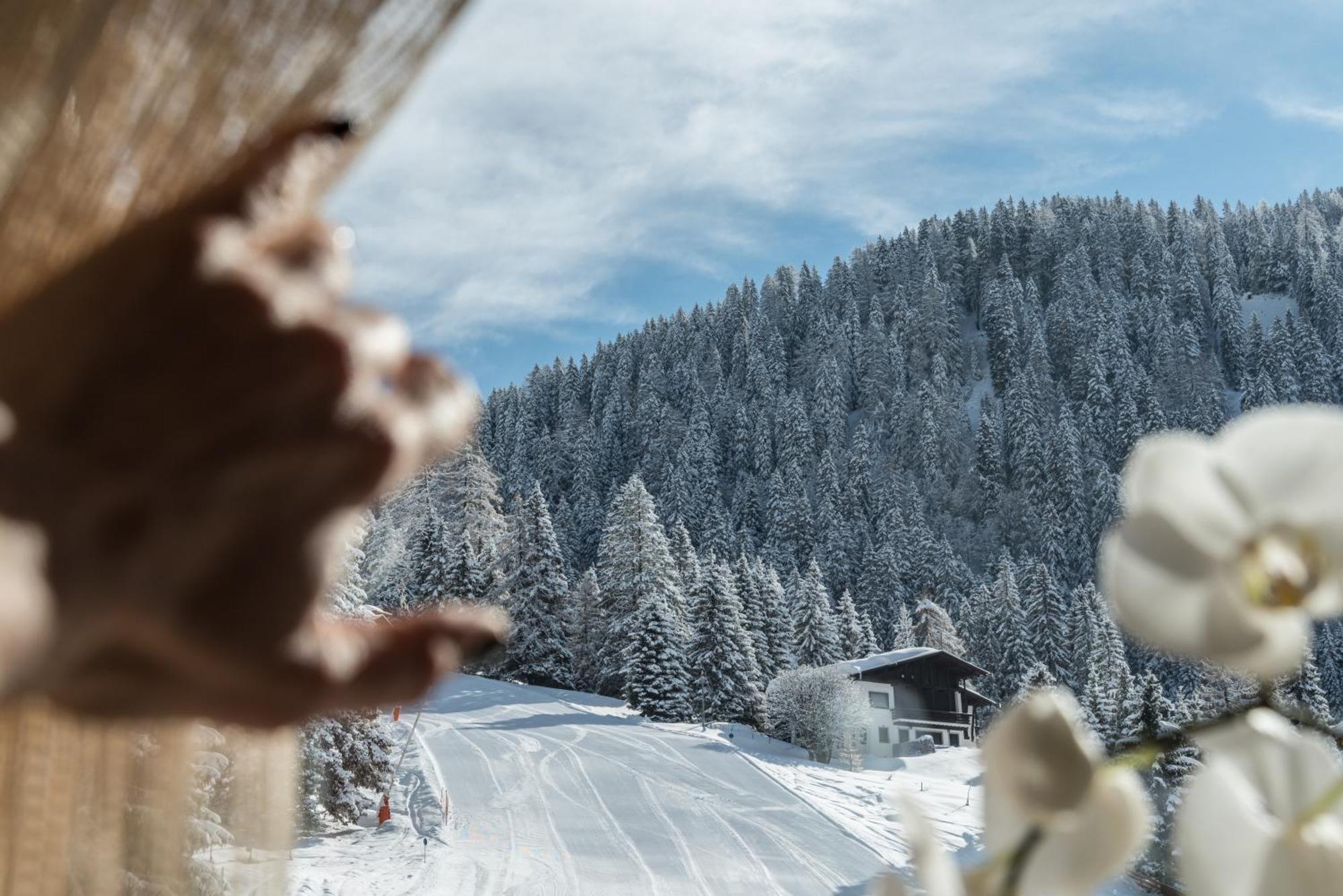 Chalet Laura Lodge Hotel Madonna di Campiglio Exterior photo